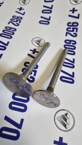 Клапан впускной Фотон 1099/1093/1049а/1041/1069 Lovol